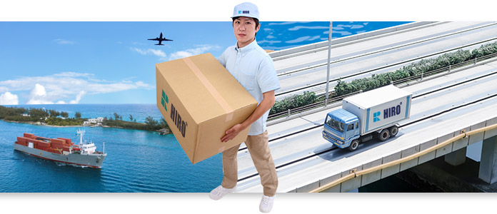 Logistic Professional